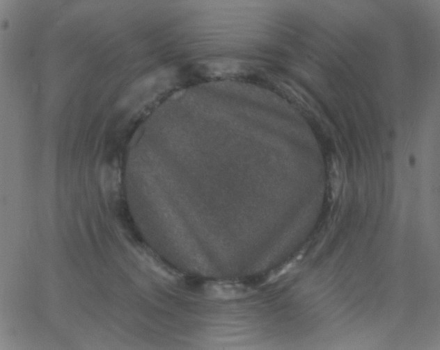 X0000067900372200604271858