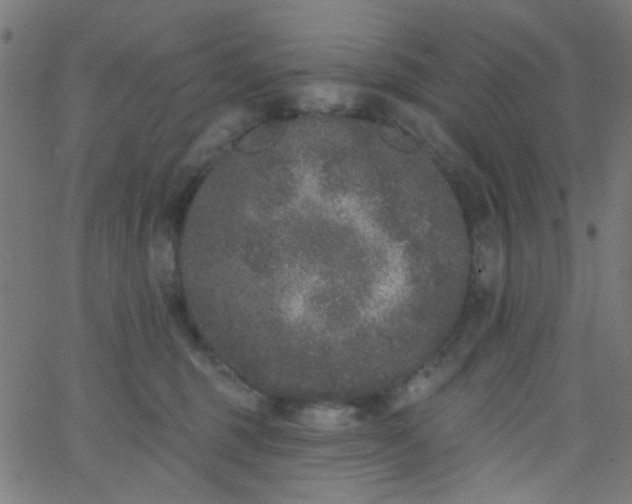 X0000067900375200604271859