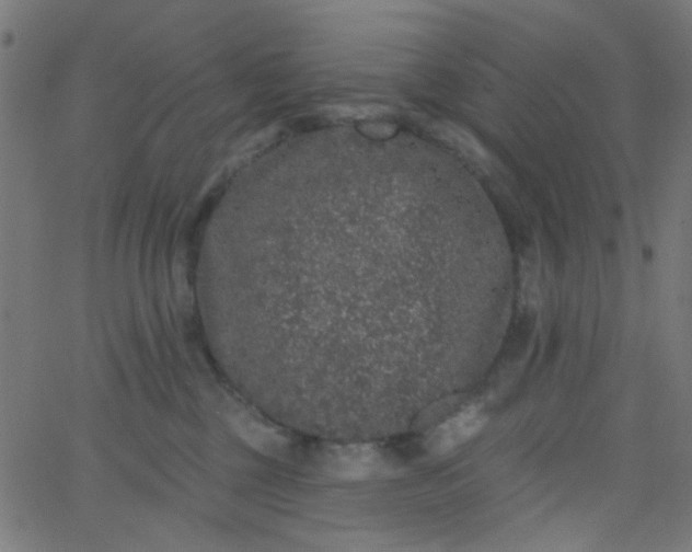 X0000067900377200604271859