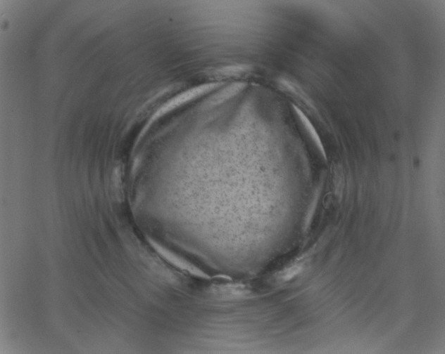 X0000067900378200604271859