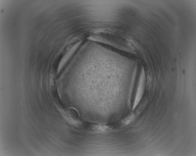 X0000067900379200604271859