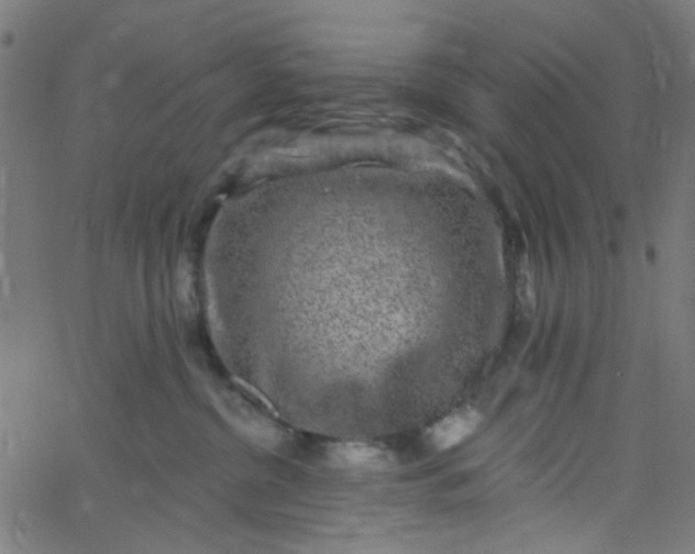 X0000067900380200604271859