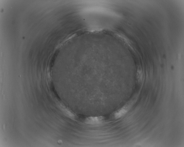 X0000067900381200604271859