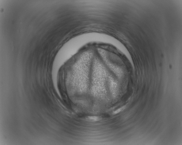 X0000067900382200604271859