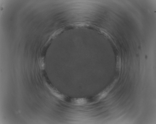 X0000067900383200604271859