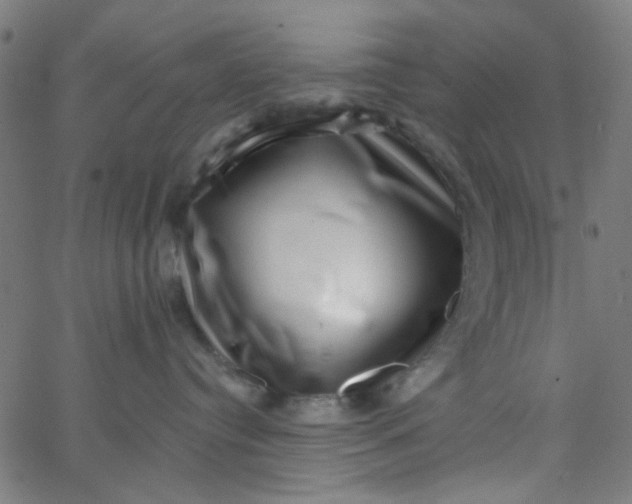 X0000067900384200604271859