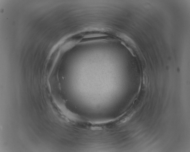 X0000067900388200604271858