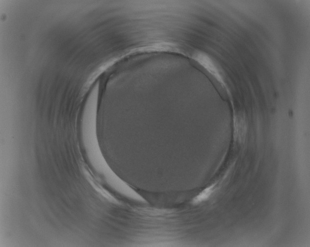 X0000067900389200604271858