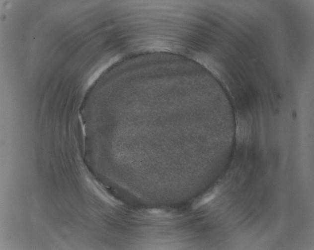 X0000067900390200604271858