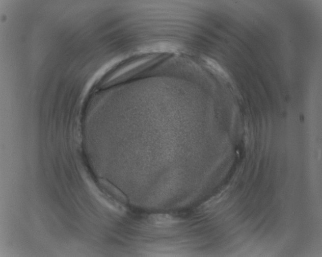 X0000067900392200604271858