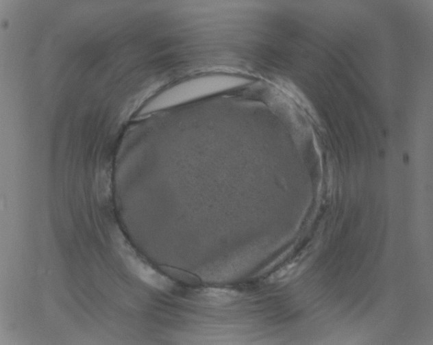 X0000067900393200604271858