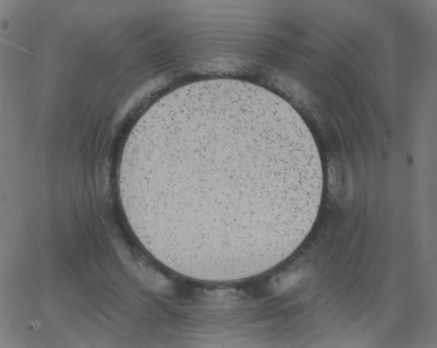 X0000067900396200604271858