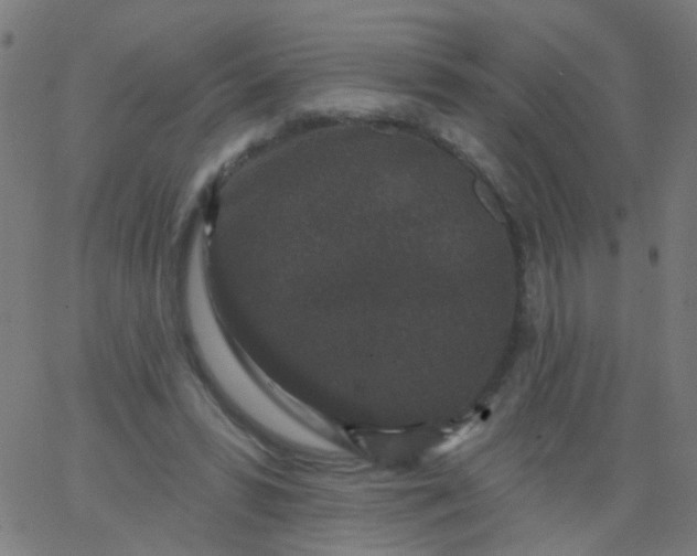 X0000067900399200604271858