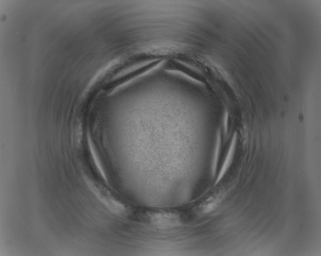 X0000067900400200604271858