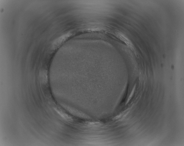 X0000067900401200604271858