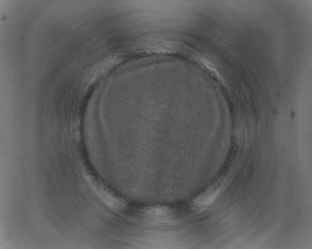 X0000067900402200604271858