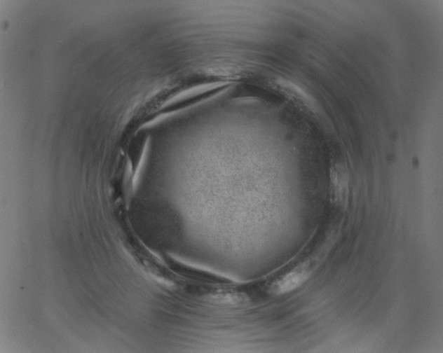 X0000067900404200604271857