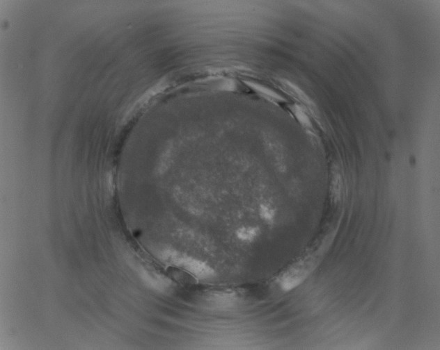 X0000067900405200604271857