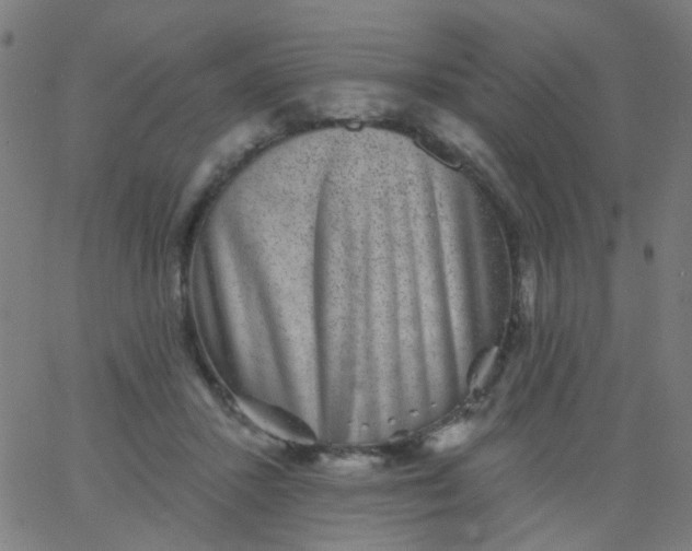 X0000067900407200604271857