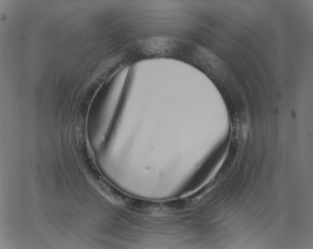 X0000067900408200604271857