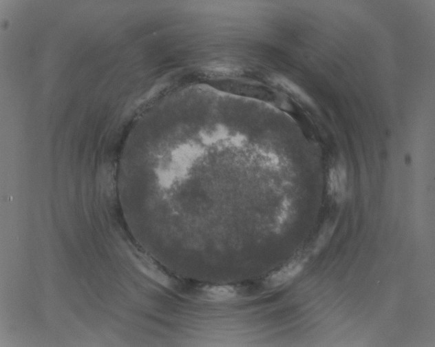 X0000067900409200604271857