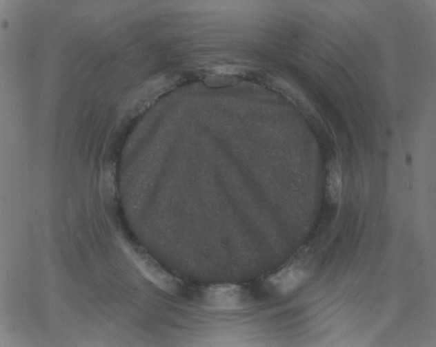 X0000067900410200604271857