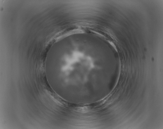 X0000067900411200604271857