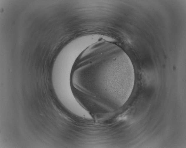 X0000067900412200604271857