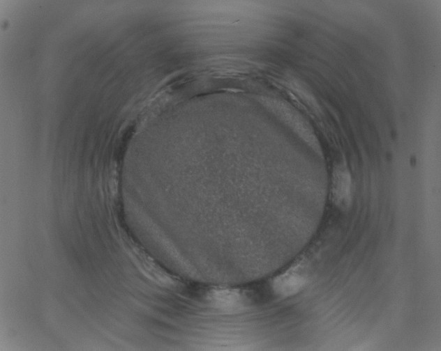 X0000067900413200604271857