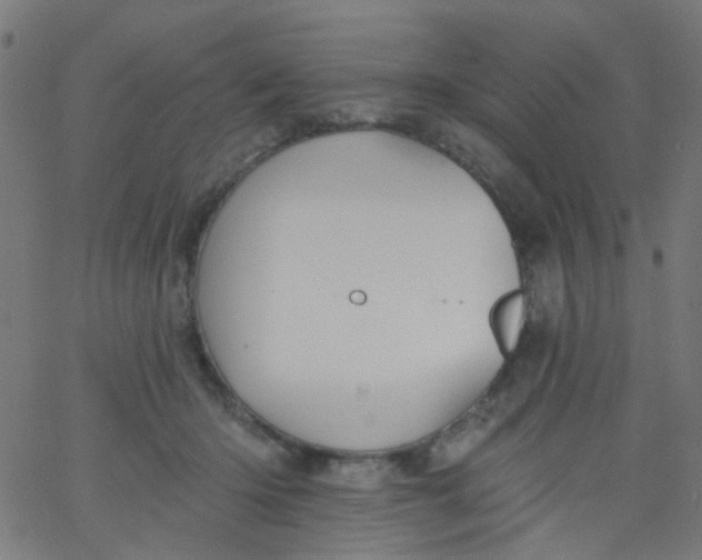 X0000067900414200604271857