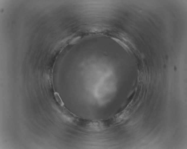 X0000067900415200604271857