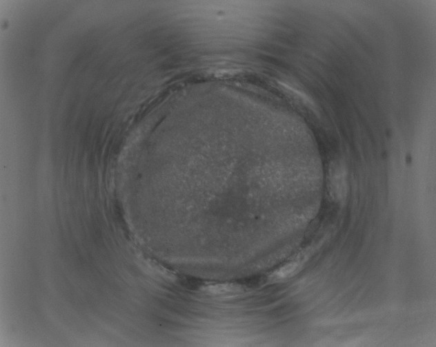 X0000067900417200604271857