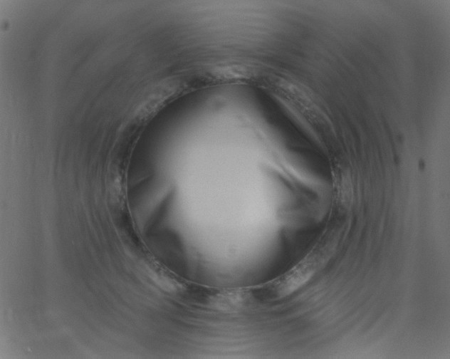 X0000067900418200604271857