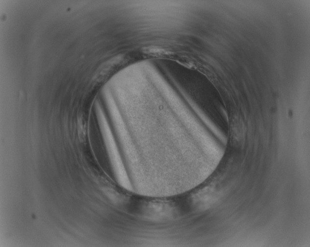 X0000067900420200604271857