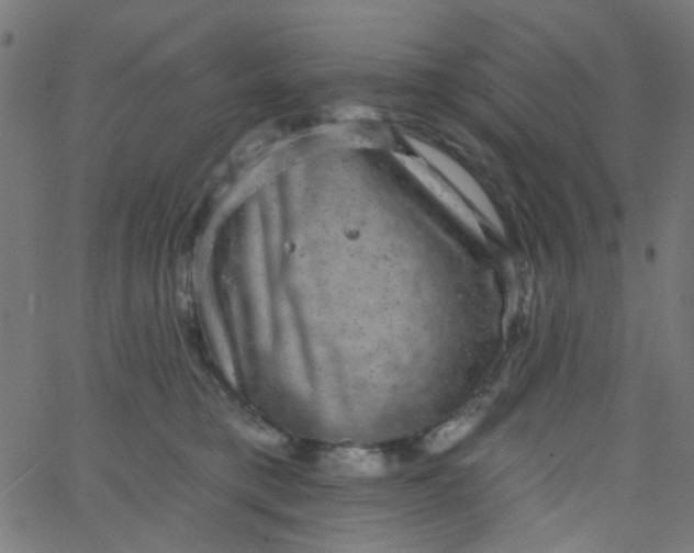 X0000067900421200604271857