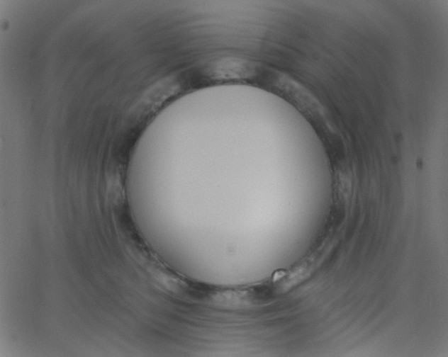 X0000067900422200604271857