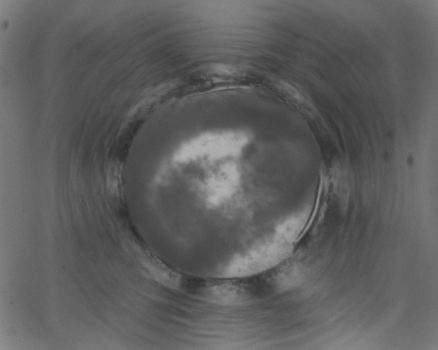 X0000067900423200604271857