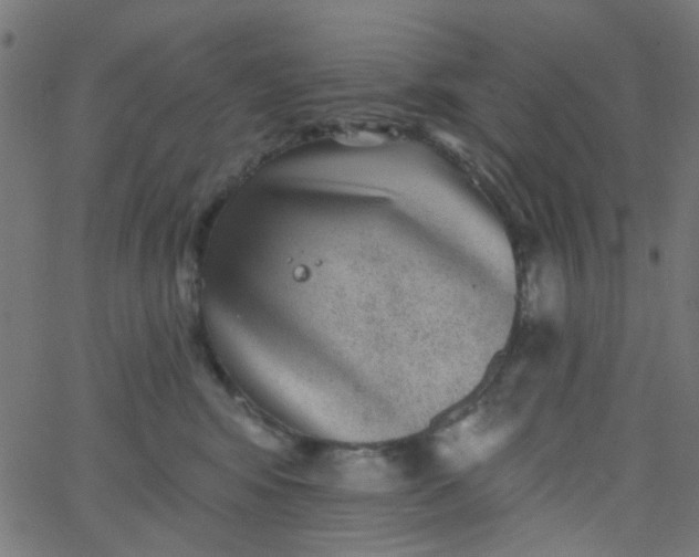 X0000067900424200604271857