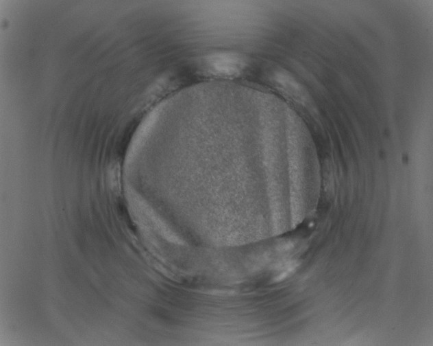 X0000067900425200604271857