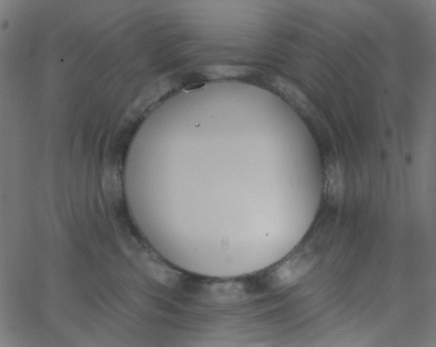 X0000067900426200604271857