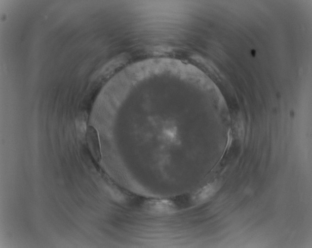 X0000067900427200604271857