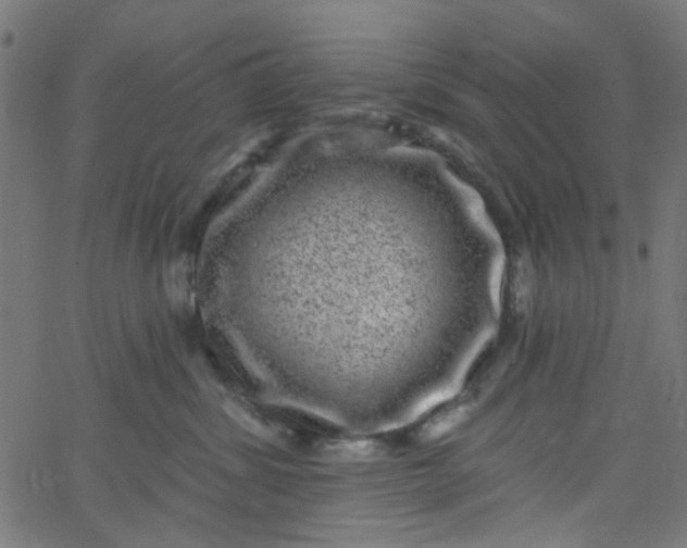 X0000067900428200604271857