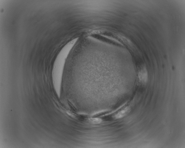 X0000067900429200604271857