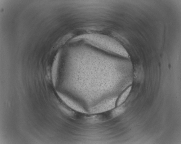 X0000067900430200604271857