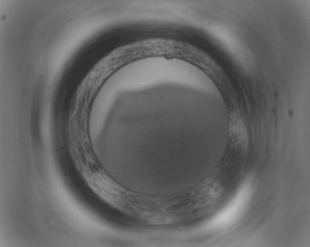 X0000067900431200604271857