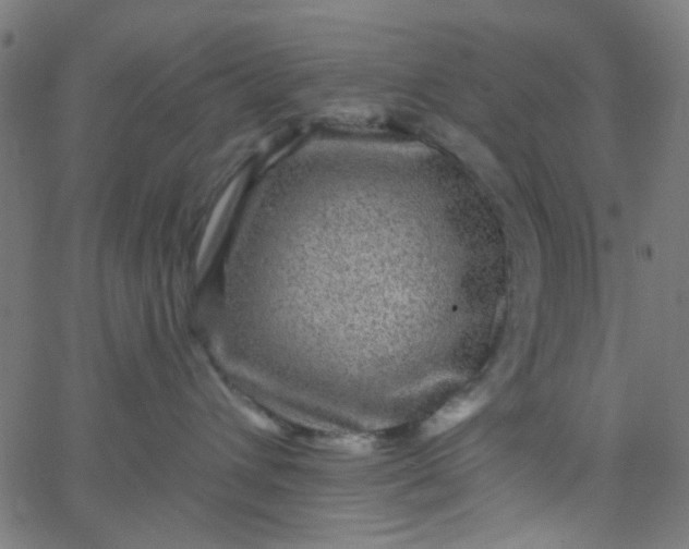 X0000067900432200604271857