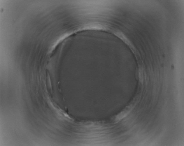 X0000067900434200604271856