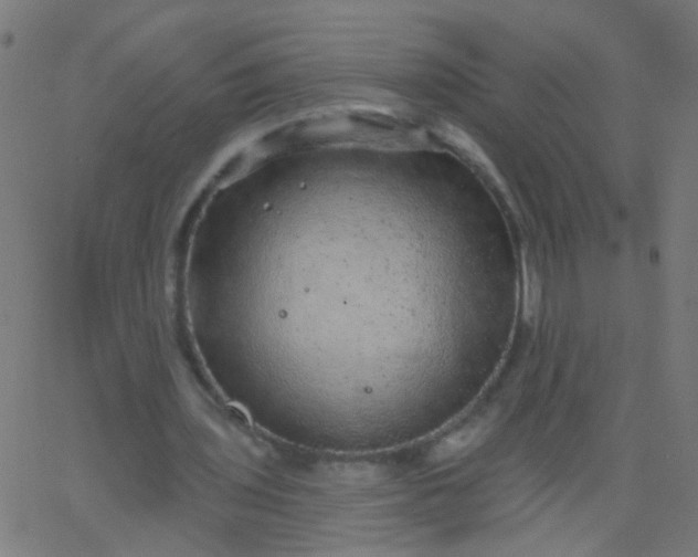 X0000067900435200604271856