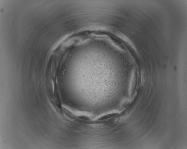 X0000067900436200604271856