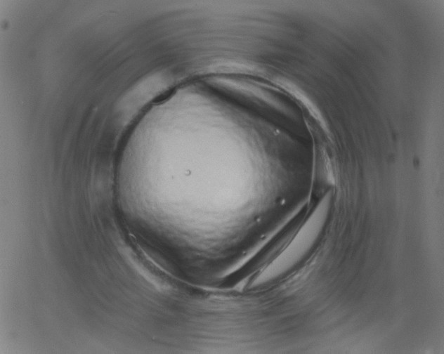 X0000067900437200604271856